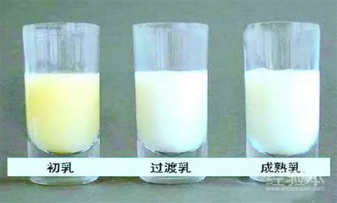 吸奶器吸出來的母乳可以放幾個(gè)小時(shí)(吸奶器吸出來的母乳常溫可以放多久)縮略圖