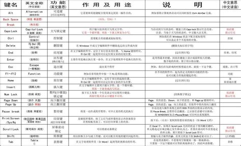 電腦鍵盤功能基礎知識(電腦鍵盤功能基礎知識表)縮略圖