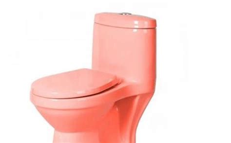 坐便器哪個品牌好(坐便器哪個品牌好價(jià)格又便宜)縮略圖