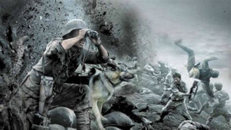 知識青年從軍歌(知識青年從軍歌原唱)縮略圖