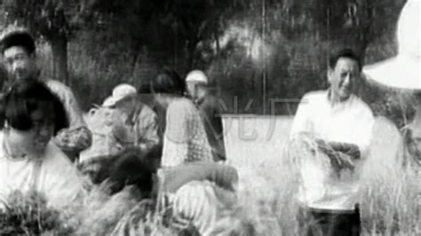 知識青年上山下鄉,知識青年上山下鄉是哪年開始的縮略圖