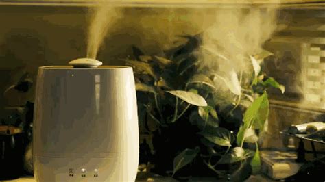 加濕器用自來(lái)水對(duì)人體有害嗎(加濕器用自來(lái)水對(duì)人體有害嗎知乎)縮略圖