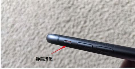 相機聲音怎么關閉,相機聲音怎么關閉iphone13縮略圖