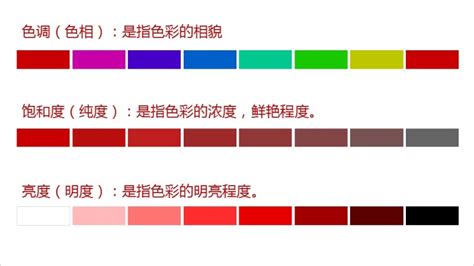 分析純和優(yōu)級純的區(qū)別(優(yōu)級純與分析純的區(qū)別是什么)縮略圖