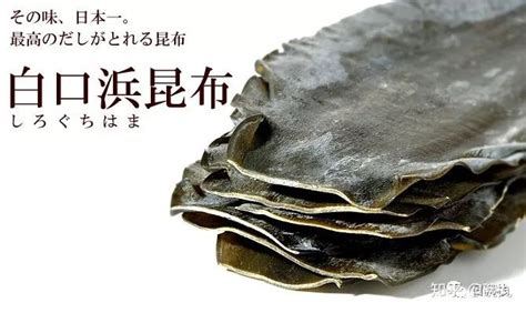 昆布絲和海帶絲的區別,海藻昆布治療甲狀腺結節縮略圖