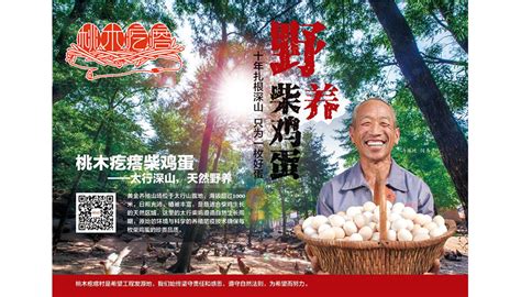 柴雞蛋的小說(柴雞蛋的小說作品)縮略圖