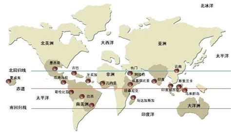 云南咖啡豆產地,云南咖啡豆產地在哪里?縮略圖