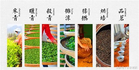 漳平水仙茶的功效與作用,漳平水仙屬于什么茶縮略圖