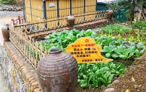 小菜園簡介,小菜園簡介100字縮略圖