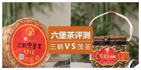 六堡茶品牌排行榜前十名(六堡茶品牌排行榜前十名中國(guó)品牌網(wǎng))縮略圖