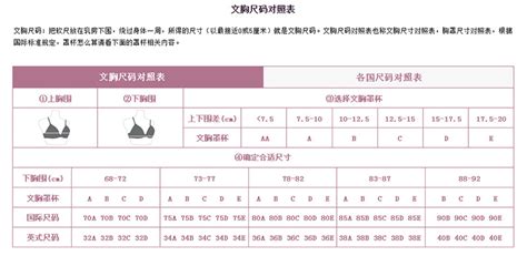 文胸尺碼對(duì)照表,文胸尺碼對(duì)照表標(biāo)準(zhǔn)版中國(guó)縮略圖