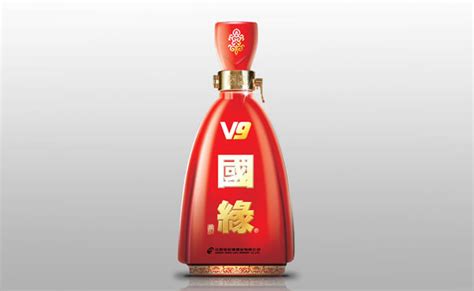 國緣v9(國緣v9之夜巨星演唱會)縮略圖