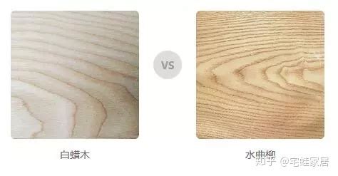 白蠟木和水曲柳區(qū)別,白蠟木和水曲柳區(qū)別在哪縮略圖