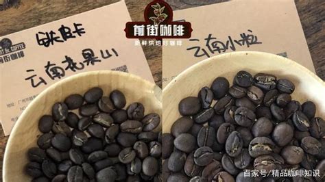 云南咖啡豆,云南咖啡豆品種縮略圖