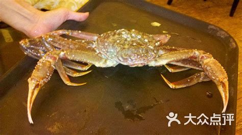 長腳蟹,長腳蟹和帝王蟹的區別縮略圖