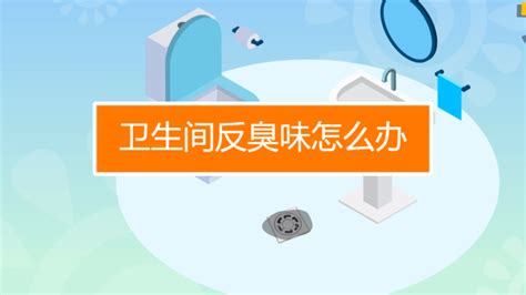 衛生間反臭味怎么辦(衛生間下水道冒臭氣怎么辦)縮略圖