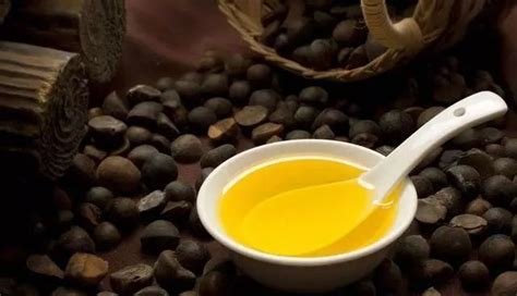 山茶油祛斑的使用方法(山茶油祛斑的使用方法視頻)縮略圖
