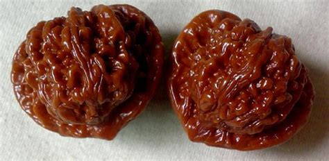 文玩核桃什么品種最好最貴(文玩核桃什么品種最好最貴價(jià)格是多少)縮略圖