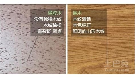 櫸木和橡木哪個好(櫸木和橡木哪個好看)縮略圖