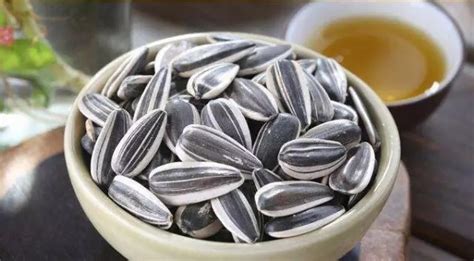 吊瓜子吃了有什么好處和壞處,吊瓜子與瓜蔞子的區(qū)別縮略圖