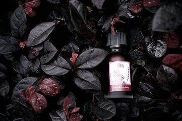 紫草油多少錢一瓶(正信堂紫草油多少錢一瓶)縮略圖