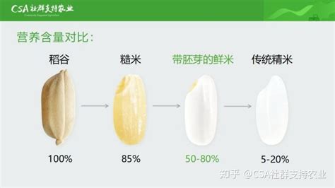 胚芽米和大米的區別(胚芽米和大米的區別是什么)縮略圖