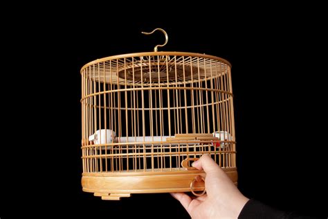 鳥籠(鳥籠子批發(fā)廠家直銷)縮略圖