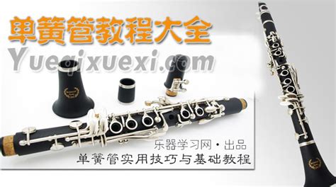 單簧管初學入門視頻,單簧管初學入門視頻3縮略圖