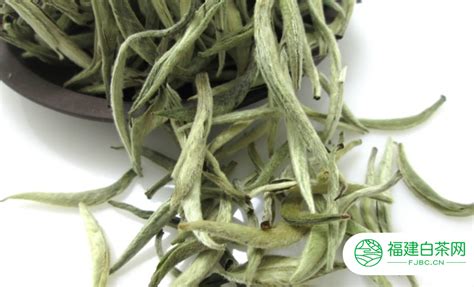 白毫銀針產(chǎn)地哪里最好(白毫銀針是哪里產(chǎn)的)縮略圖
