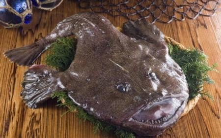安康魚魚肝有什么功效,安康魚肝的功效與作用禁忌縮略圖