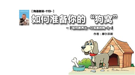 狗窩怎么清洗消毒(狗窩用什么消毒最好)縮略圖