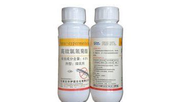 聯(lián)苯菊酯殺什么蟲效果最好(聯(lián)苯菊酯殺什么蟲)縮略圖