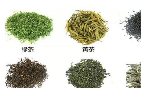 普洱茶種類,普洱茶種類有幾種縮略圖