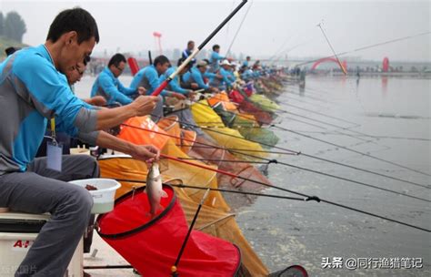魚竿5h和6h什么意思,5h和6h魚竿什么區(qū)別縮略圖