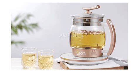 養(yǎng)生壺家用第一名,養(yǎng)生壺 推薦縮略圖