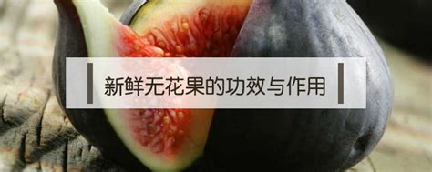 無(wú)花果干的功效與作用(無(wú)花果干的功效與作用吃法)縮略圖