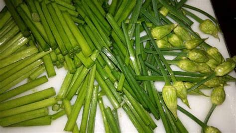 韭菜花的功效作用與營養價值,韭菜花的功效作用與營養價值及禁忌縮略圖