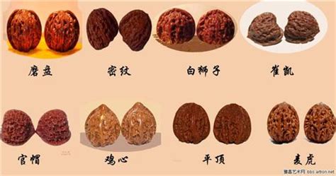 文玩核桃品種圖鑒大全(文玩核桃品種圖鑒大全價(jià)格)縮略圖