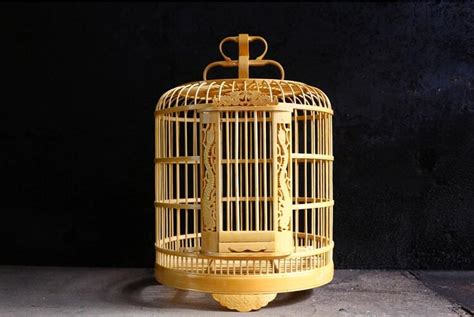 鳥籠子圖片大全,鳥籠水槽怎么安裝縮略圖