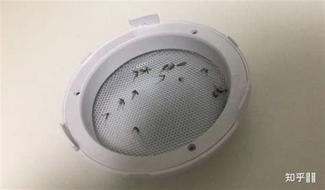 驅蚊燈是智商稅嗎(超聲波驅蚊燈是智商稅嗎)縮略圖