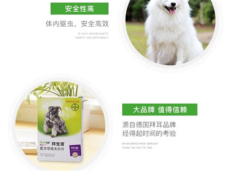 拜寵清多少錢(拜寵清多少錢一粒)縮略圖