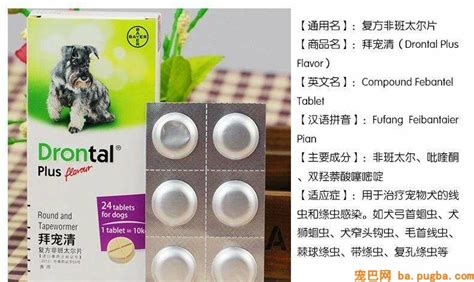 拜寵清(拜寵清驅(qū)蟲的正確吃法)縮略圖
