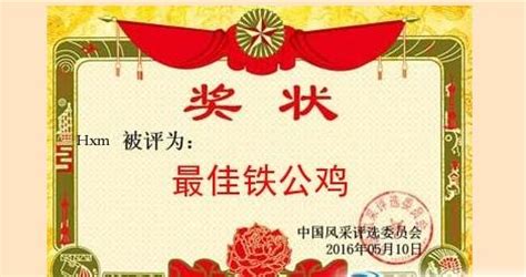 榮譽證書制作生成器(榮譽證書一鍵生成軟件)縮略圖
