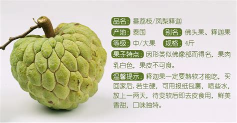 熱帶水果釋迦果(熱帶水果釋迦果的吃法)縮略圖