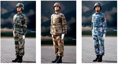 迷彩服是根據(jù)什么動(dòng)物發(fā)明的,迷彩服是根據(jù)什么動(dòng)物發(fā)明的作文縮略圖
