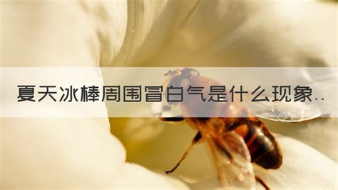 冰棍周圍冒白氣是什么現(xiàn)象,冰棍周圍冒白氣是什么現(xiàn)象 兩種縮略圖