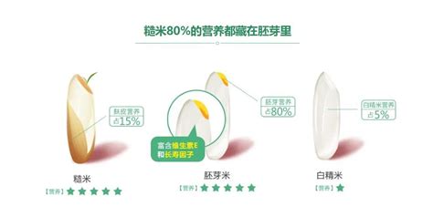 胚芽米對嬰兒真的很好嗎,胚芽米和大米的區別縮略圖
