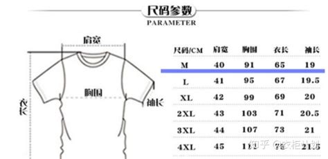 體恤衫尺寸對照表(t恤衫標準尺寸圖表)縮略圖