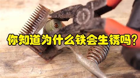馬口鐵會生銹嗎,馬口鐵一般多久會生銹縮略圖