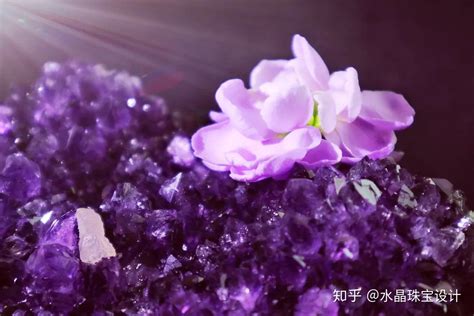 紫水晶的風(fēng)水作用(紫水晶的風(fēng)水作用以及擺放)縮略圖